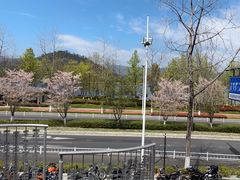 -宝荣鱼馆·临湖之宴(千岛湖店)