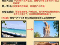 -三亚亚龙湾人间天堂鸟巢度假村
