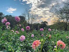 -海南鉴湖蓝湾高尔夫球会