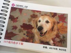 -亮雅轩图文快印连锁24小时(百子湾苹果社区店)