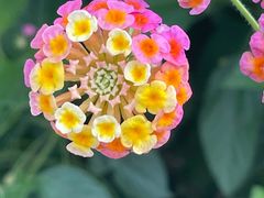 -上海植物园-4号门售票处