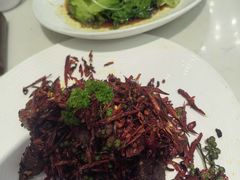 -后海16号·北京私房菜