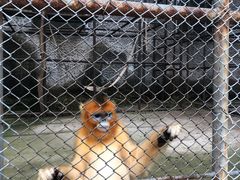 -哈尔滨北方森林动物园