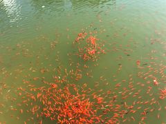 -西海子公园