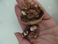 -鲜丰水果(高刘路店)