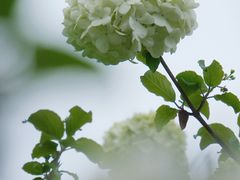 -大龙山(地铁站)