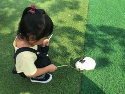 -萌宠亲子动物乐园(槐房万达店)