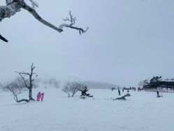 -大秃顶子山