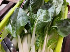 -章记正宗南岗鱼蛋火锅