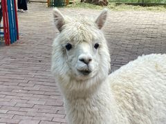 -水上乐园·欢乐世界