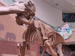 -陕西自然博物馆