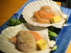 扇贝-本寻烧肉酒场(双井店)