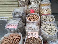 -清平中药材专业市场