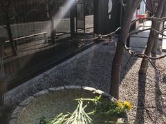 -鯛匠 HANANA