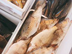 -江湖水乡铁锅炖魚(周庄嘉园店)