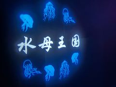 -常州海昌海洋探索馆