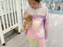 -萌宠之家·腊肠犬·马尔泰·小体犬舍