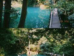 -浙江大学之江校区-停车场