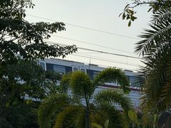 -宝安西湾红树林湿地公园