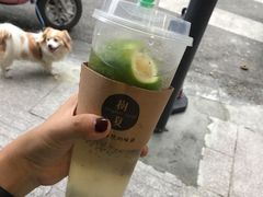 -树夏(建设路店)