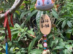 -呀诺达热带雨林