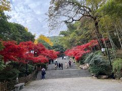 -岳麓山风景名胜区