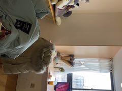 -Husky Go! 哈士奇体验馆·宠物咖啡厅狗咖