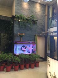 -至爱至信新中式SPA疗愈会所