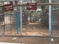 -呀路古热带植物园