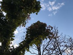 -元生咖啡(陶溪川店)