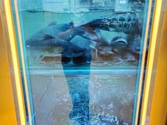 -鱼酷活鱼烤鱼(人信汇商场店)