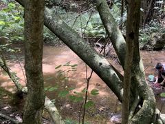 -滴水岩森林公园