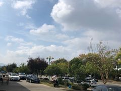 -宜城私房菜.臭鳜鱼(九华新街店)