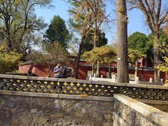 -泰山风景名胜区-普照寺