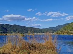 -腾冲北海湿地
