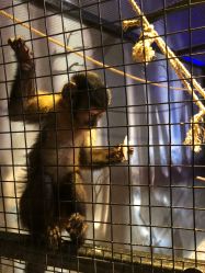 -酷嗒动物文化乐园(cutezoo西溪乐天城店)