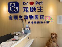 -宠颐生动物医院·心脏科·保险定点(锦阳分院)