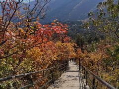 -香山公园