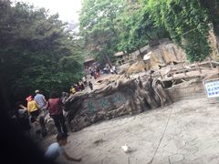-燕塞湖鸟语林景区