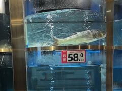 -蜀滋香鲜鱼美蛙火锅(339店)