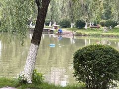 -八大山人梅湖景区