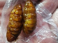 -品德宏·孔雀宴的发源地(金塔园店)
