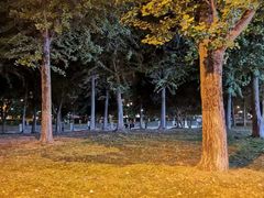 -大地影院(德清余英坊店)