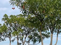 -龙佳生态温泉山庄