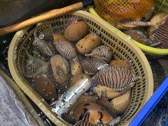 -鸿港海鲜批发市场