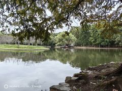 -上海共青森林公园