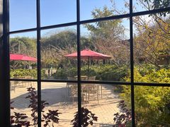 -荷风细雨·中国茶宴(碧云店)