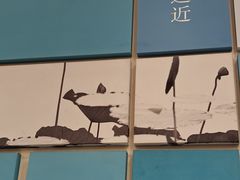 -眉州东坡(印象城购物中心店)