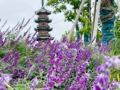 -龙华寺