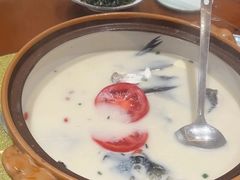 -全乐鱼馆·淳牌有机鱼直营店